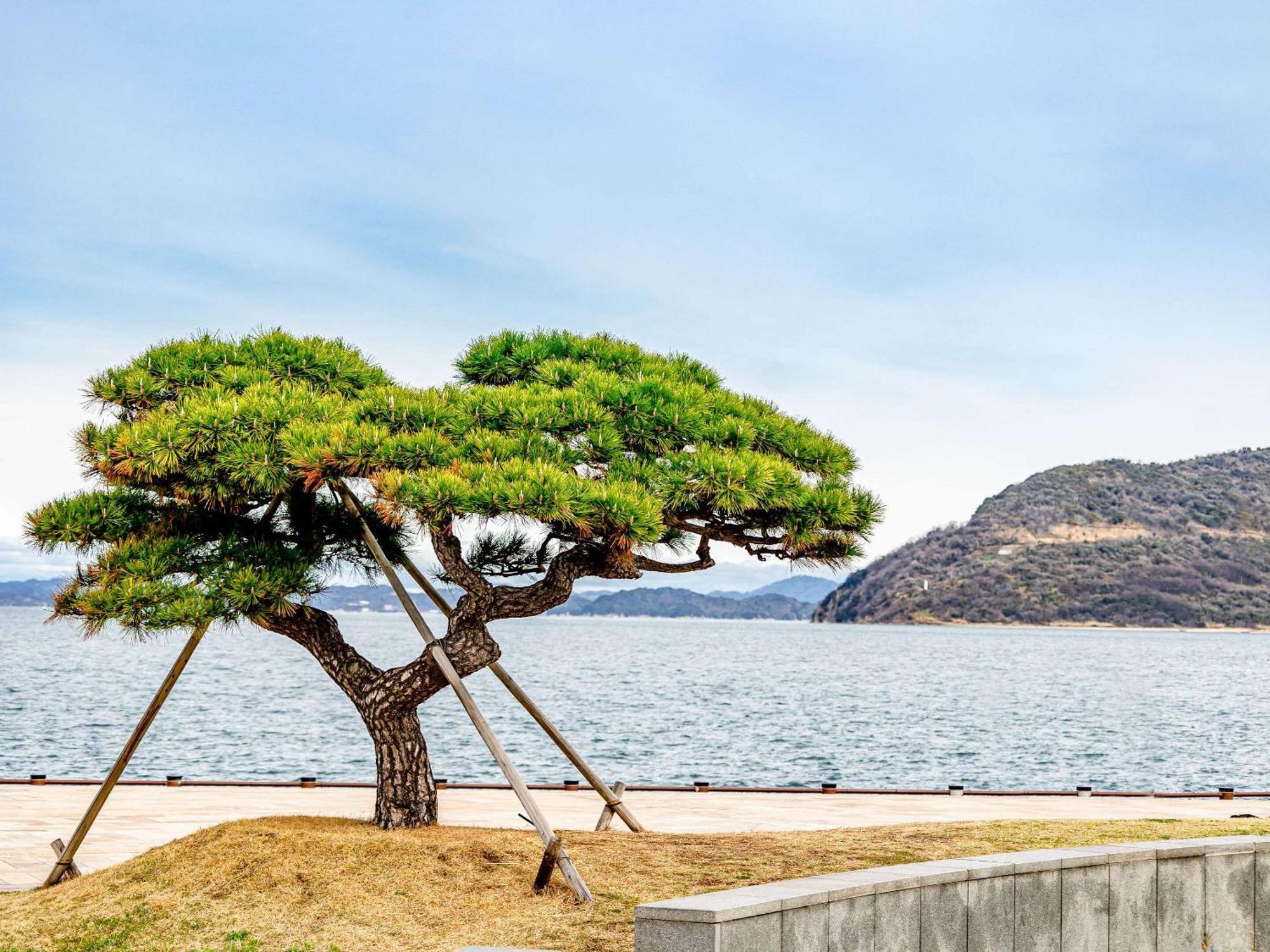 Comfort Hotel Takamatsu Dış mekan fotoğraf